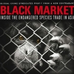 BlackMarket