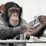 Monkey 13