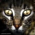 papalegba