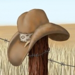 Lonegunner