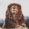 Alisher_12
