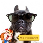 shilo174rus