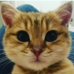 Kretix
