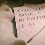 muhtarsamil
