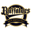 logo Орикс Баффалос