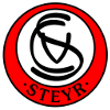 logo Форвертс Штейр