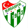 logo Бурсаспор