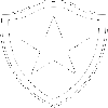 logo Ботафого РЖ (ж)