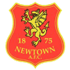 logo Ньютаун