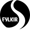 logo Филкир