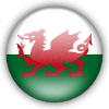 logo Уэльс (19)