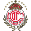 logo Толука