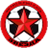 logo Звезда Санкт-Петербург