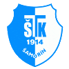 logo Шаморин