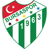 logo Бурсаспор