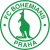 logo Богемианс Дублин