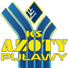 logo Азоты-Пулавы