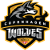 Логотип Copenhagen Wolves