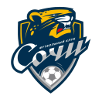 Логотип ФК Сочи фолы